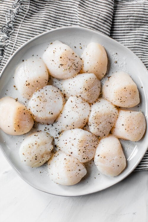 sea scallops