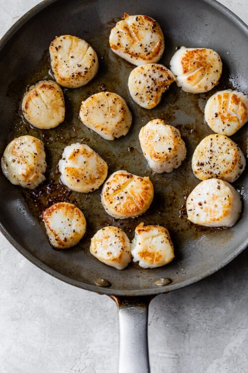 seared scallops