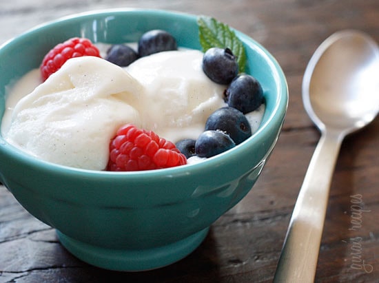 If you like the tangy taste of yogurt you'll love this low-fat homemade frozen treat made with a combination of Greek yogurt and plain yogurt and real vanilla bean.