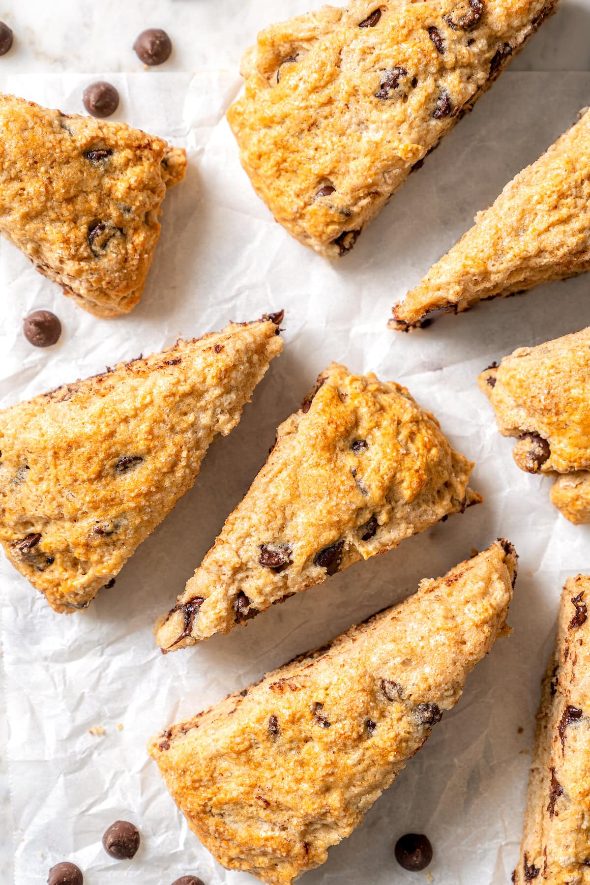 Chocolate chip scones are sweetened to perfection and studded with chocolate chips to make them taste like a treat. An easy no-fail recipe! Overhead view of healthy chocolate chip scones on parchment paper