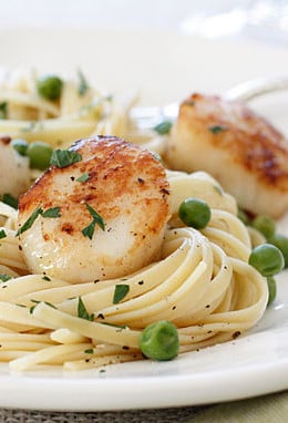 Scallops are great for a quick meal any night of the week and are a real treat. They can be quickly sautéed, then added to salads like this Scallop and Baby Green Citrus Mojo Salad, and this delicious Scallop and Grapefruit Salad, but once in a while when I want something more substantial, I love it with pasta. Here I tossed it with some pasta and peas, for a dinner that took less than 15 minutes to make.