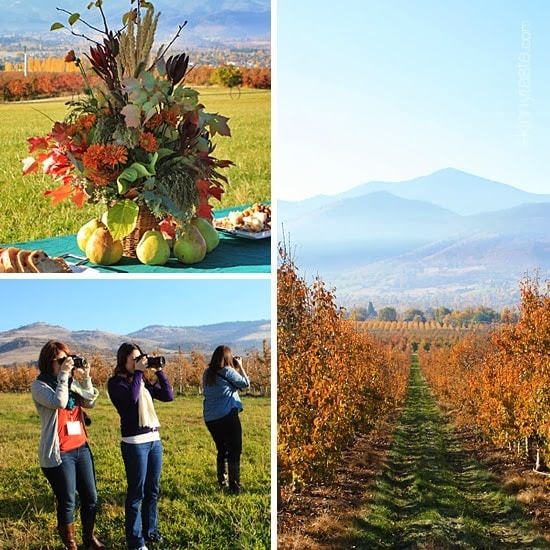 A fall centerpiece arrangement surrounded by pears, three women taking pictures with rolling hills in the background, a fall scene with a path at an orchard leading to a field and mountains in the background