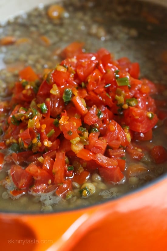 For busy families looking for delicious, healthy meals that will keep everyone’s stomachs full and happy, lentils and rice with eggs and bacon are economic, easy to prepare and make enough for plenty of leftovers!