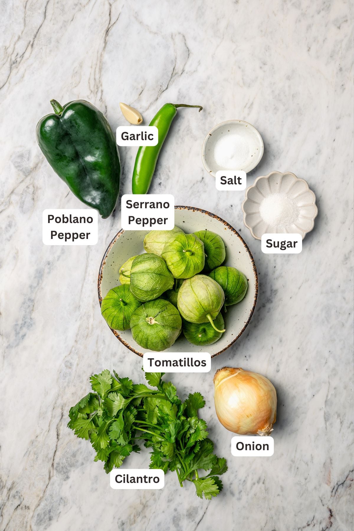 Overhead view of ingredients for homemade salsa verde