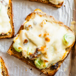 Open-Faced Turkey Melts make a quick and easy way to use up your Thanksgiving turkey leftovers!