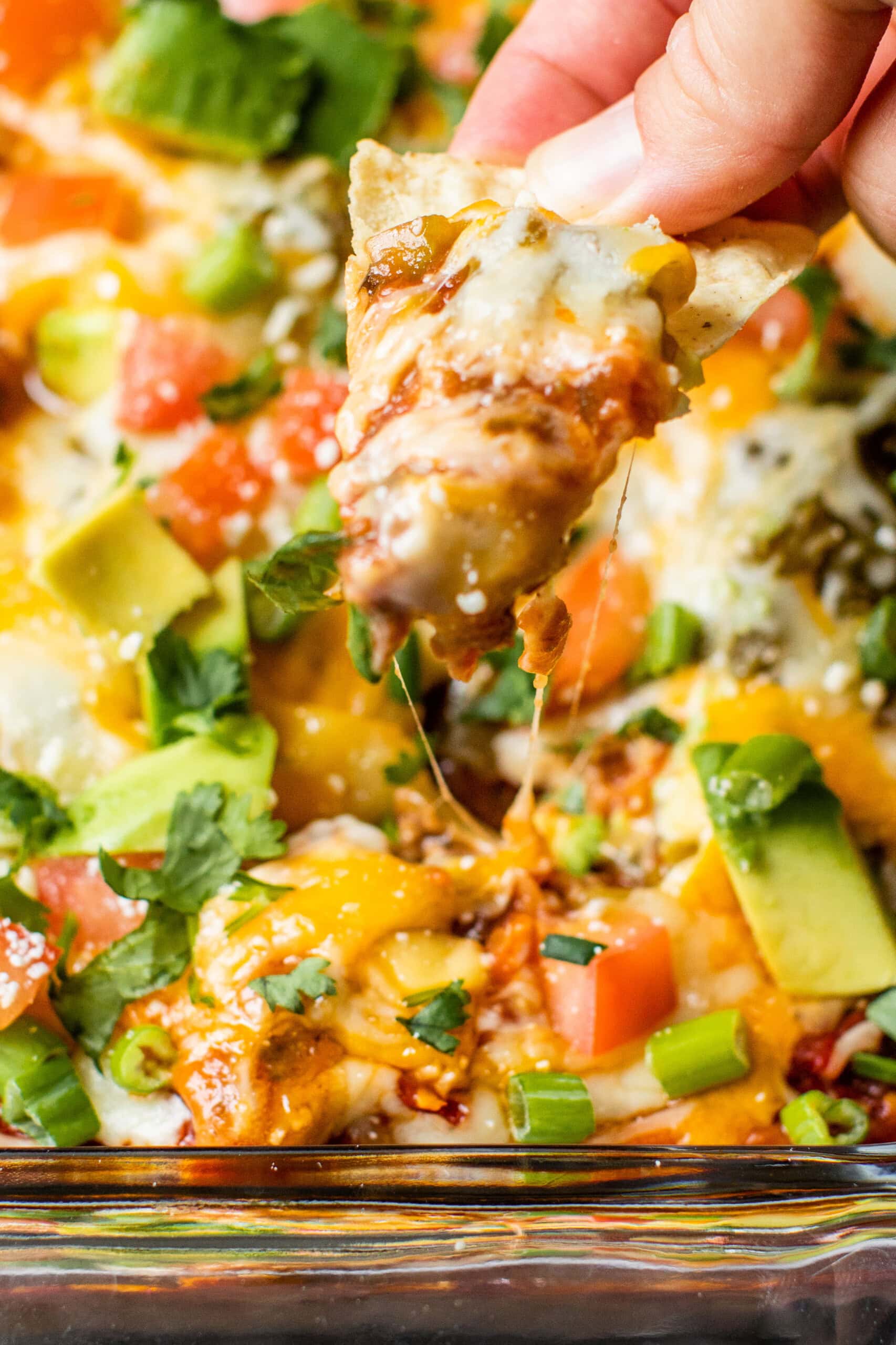 Mexican Dip