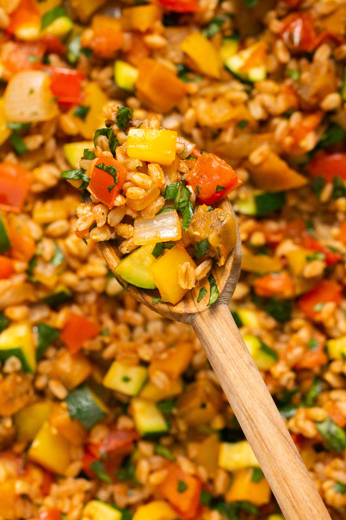 Ratatouille with Farro