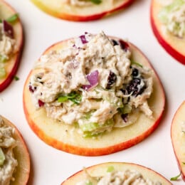 Cranberry Chicken Salad on Apple Slices