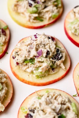 Cranberry Chicken Salad on Apple SlicesÂ