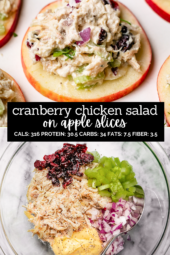 Cranberry Chicken Salad on Apple Slices
