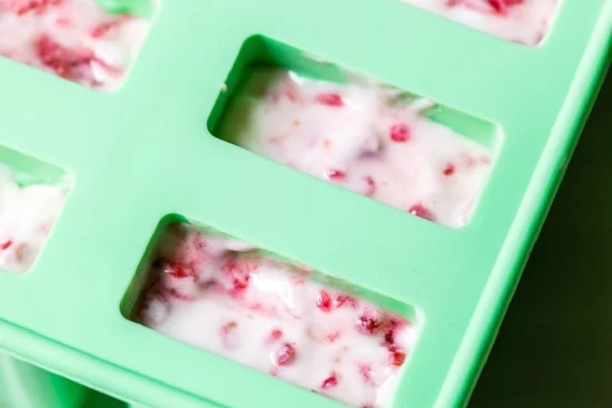 best popsicle molds