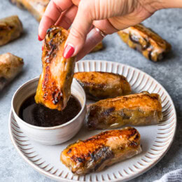 Salmon Spring Rolls