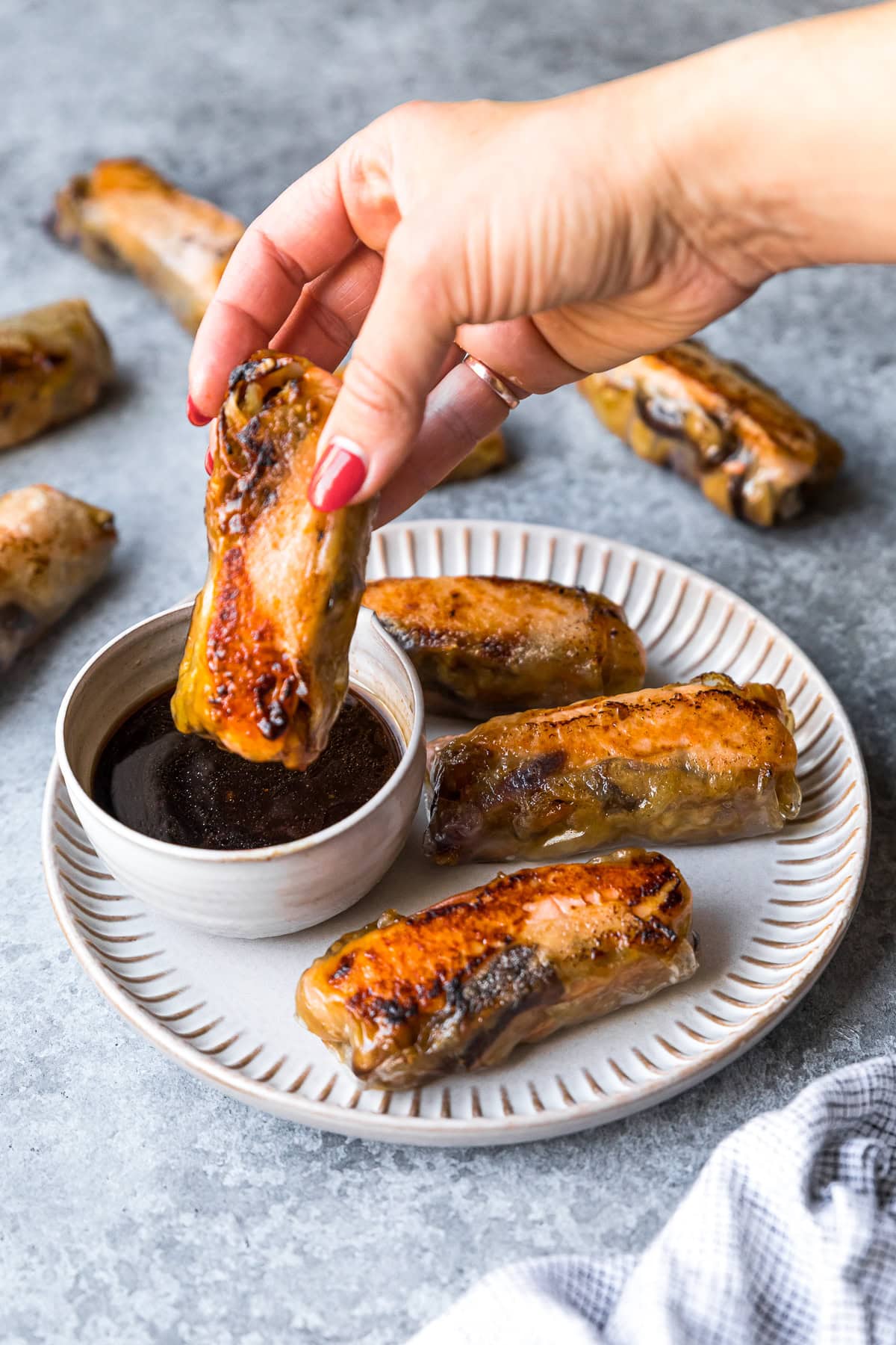 Salmon Spring Rolls