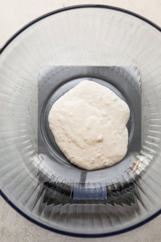 weigh the starter