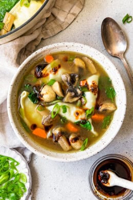 Potsticker Soup